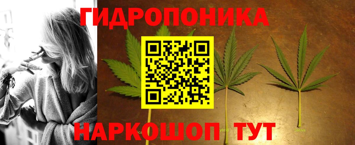 Мыски  Бошки марихуана Amnesia  Шишки марихуана планчик  Марихуана план  Вход с VPN  Марихуана White Widow 